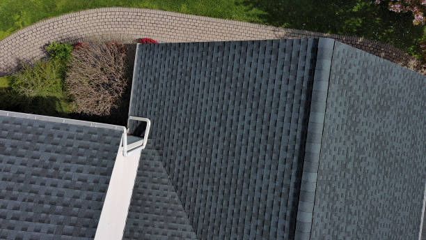 Best Roof Insulation Installation  in Nekoosa, WI